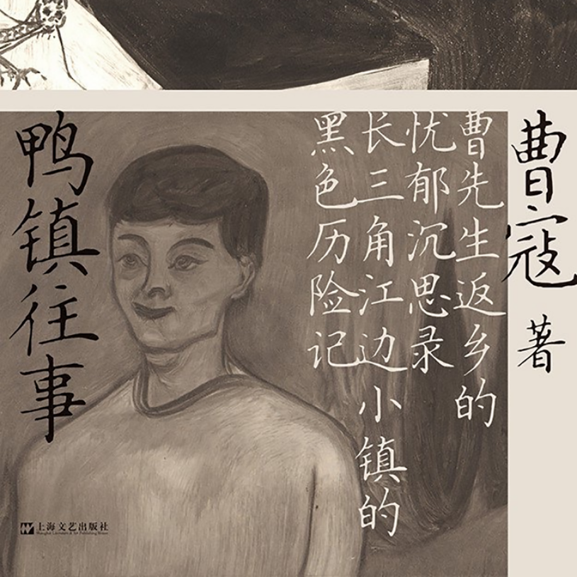 《鸭镇往事》：曹先生返乡的忧郁沉思录，长三角江边小镇的黑色历险记